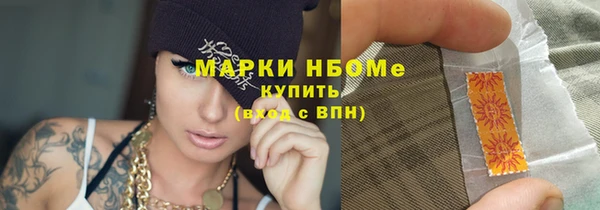 хмурый Арсеньев