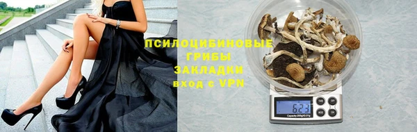 хмурый Арсеньев
