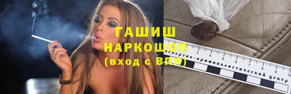 хмурый Арсеньев