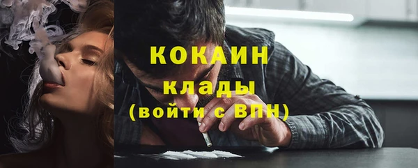 хмурый Арсеньев