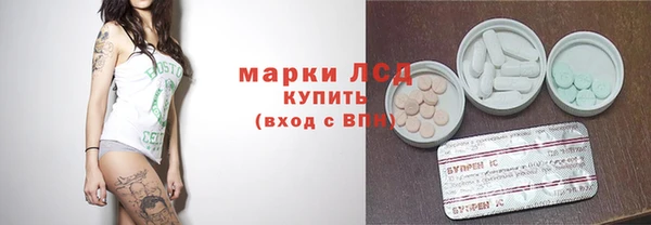 хмурый Арсеньев