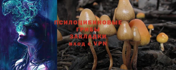 хмурый Арсеньев