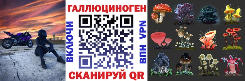 Галлюциногенные грибы мухоморы  Купить закладки  Домодедово 