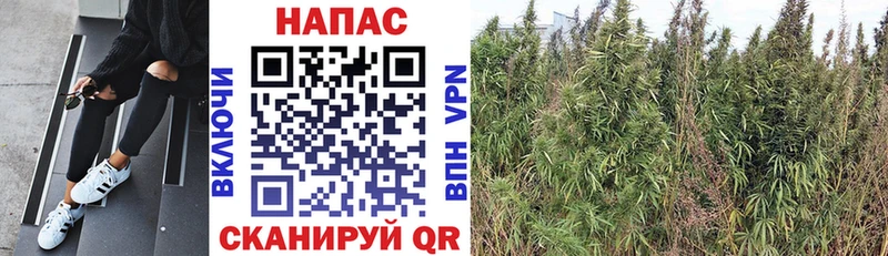 Бошки Шишки THC 21% Купить где Домодедово
